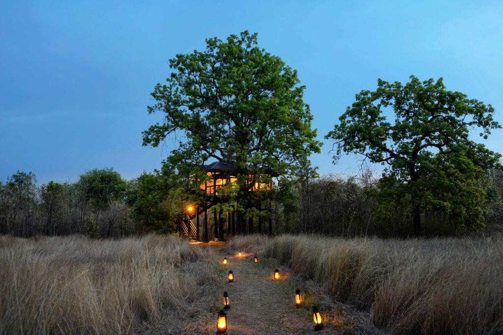 Pench Tree Lodge