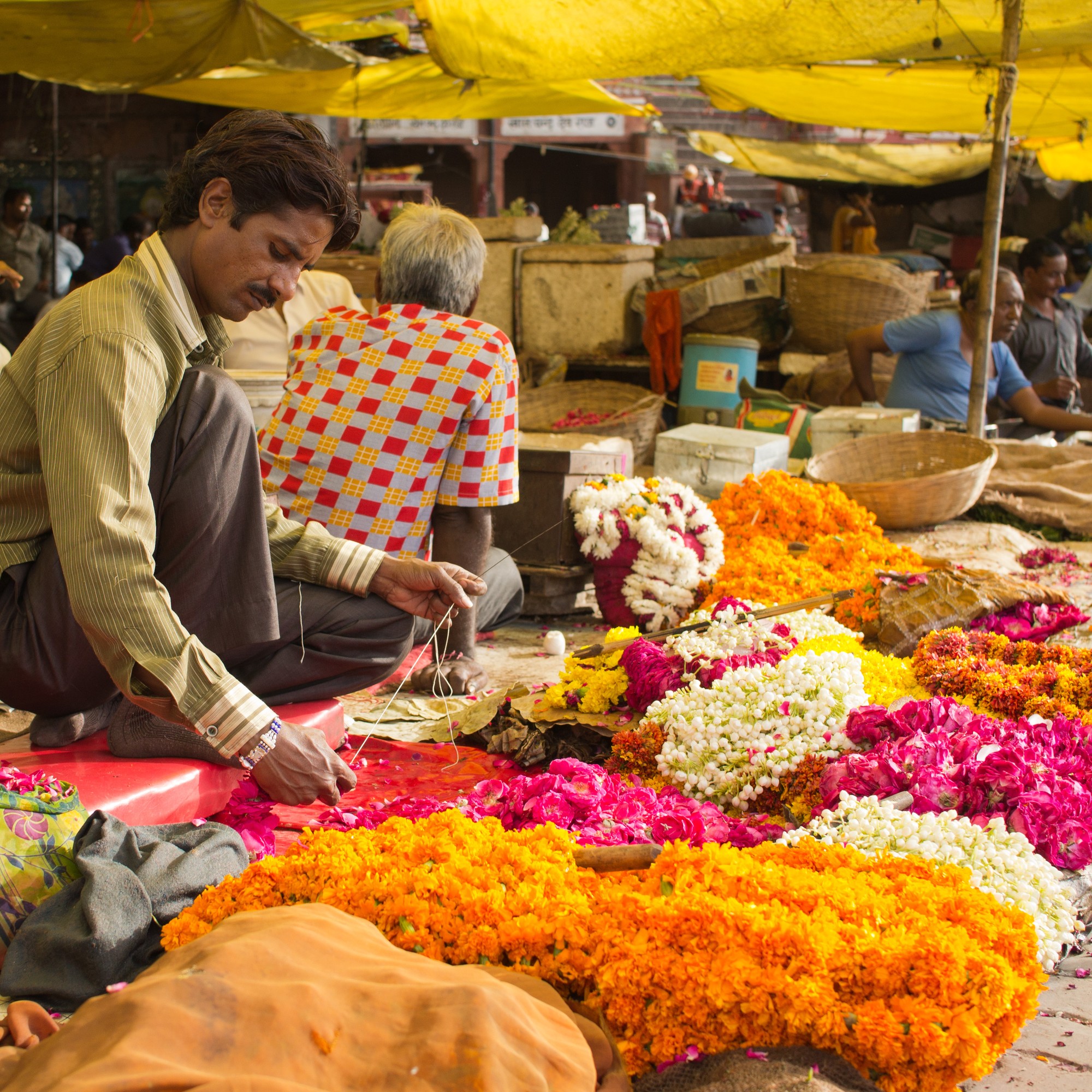 Jaipurs Märkte, Forts und Paläste 2