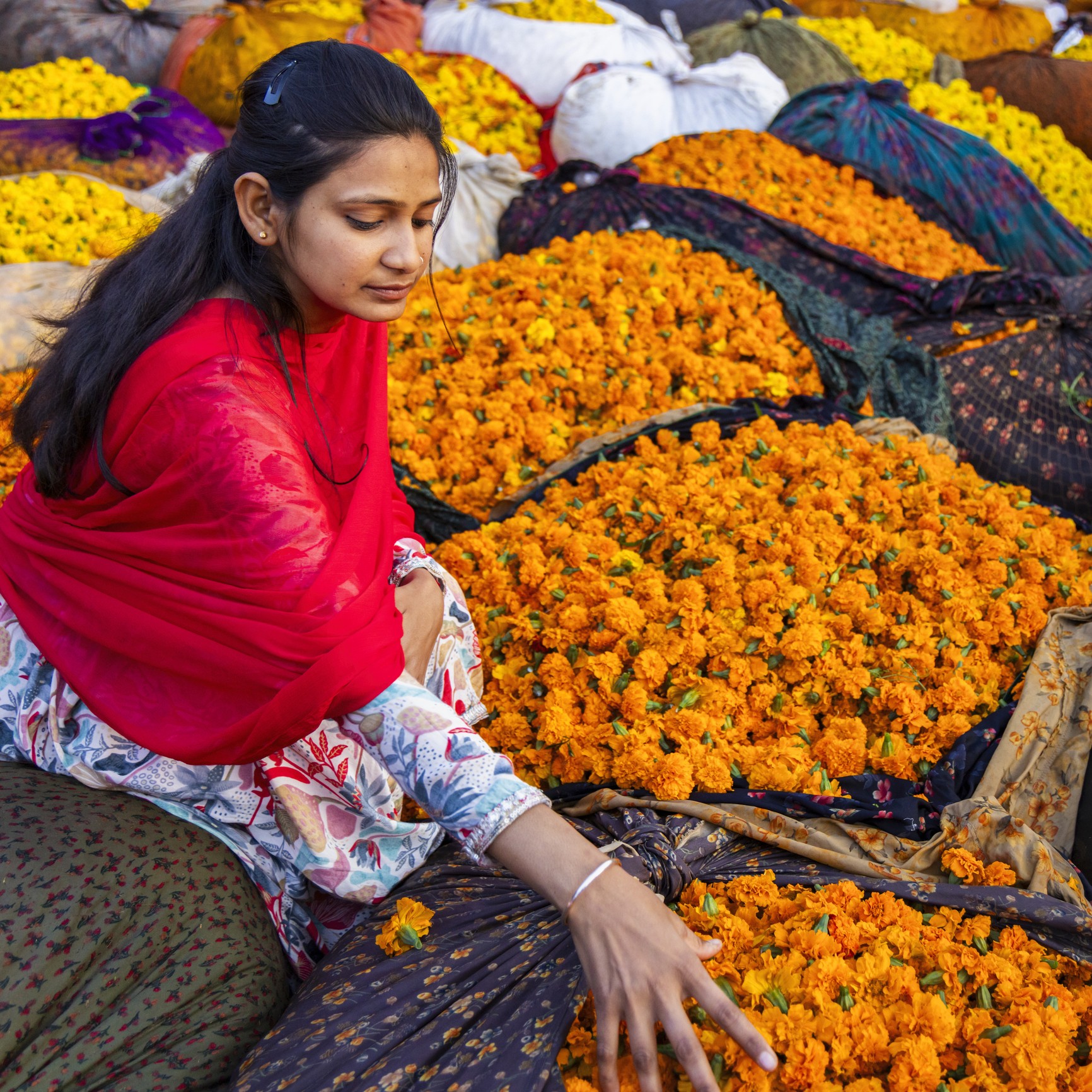 Jaipur — Farben, Sterne und Paläste 1