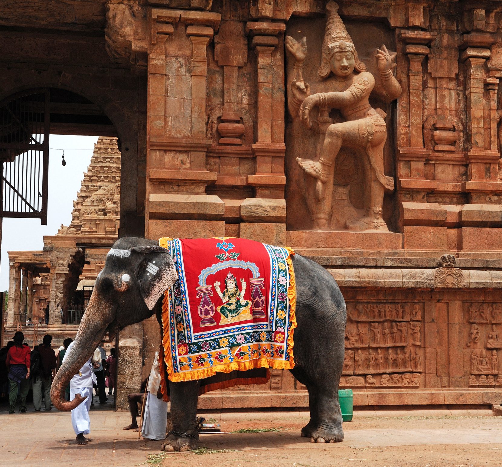 Häufig gestellte Fragen