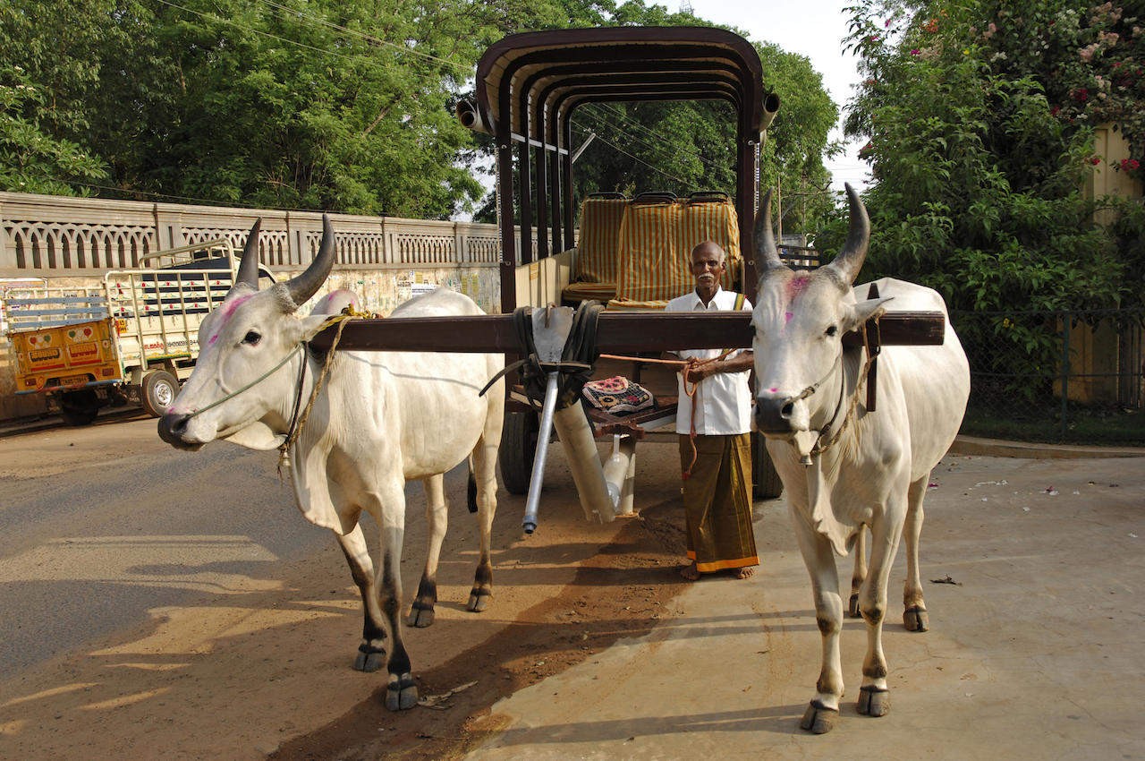 Chettinad — Kaufmannspaläste und Kulinarik 2